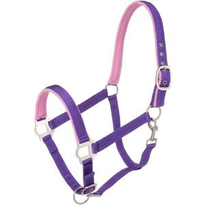 Tough1 Padded Halter with Satin Hardware, Size: Pony