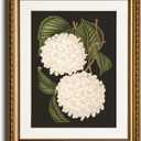 VIYYIEA Gold Framed Wall Art Canvas Print Home Decor White Hydrangea Oil Painting Canvas Prints Room Aesthetic Flower Prints Decoration Bedroom Bathroom Wall Decor Kitchen Office 13x16in (16L" x 13W")
