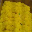 Tigeen 60 Pcs Marigold Garland for Decoration 4 Feet Artificial Marigold Flowers Mantle Decoration Indian Marigold Flowers Faux Garlands for Wedding Party House Warming Decor (Yellow)