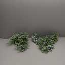 DearHouse Faux Eucalyptus Garland Plant, 2 Pack Artificial Vines Hanging Eucalyptus Leaves Greenery Garland for Wedding Backdrop Arch Wall Decor, 6 Feet/pcs UV Protected Indoor Outdoor
