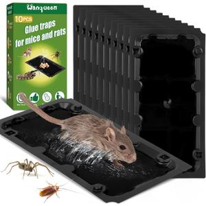 10 Pack Sticky Mouse Trap Rat Trap Indoor, Peanut Taste Pheromone Mouse Traps Indoor for Home, Glue Sticky Traps for Mice and Rats, Snake(Large Size)
