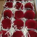 15 Pcs Red Velvet Christmas Ornaments Balls, 3.15 Inch Large Burgundy Velvet Ornaments for Christmas Tree, Flocked Hanging Decorations Ball Bulk for Xmas Holiday Party Wedding Home Decor
