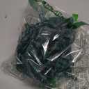 PREXTEX 100 Count Clear Christmas Lights - 20 ft Ultra Bright String Lights with Green Wire for Indoor and Outdoor Use, Christmas Trees, Holidays, Patios and Garden