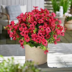 Artificial Flowers for Outdoors, 12 Bundles Artificial Plants & Flowers Outdoor, UV Resistant Faux Flowers Silk Fake Flower for Outside Porch Pot Window Garden Planter Decoration(Fuchsia Pink)