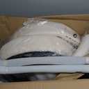 DUMOS Dining Chairs Set of 2, Mid Century Modern Chair Round Upholstered Curved Backrest, Kitchen Vanity Living Room Chairs with Black Metal LegsLight Beige