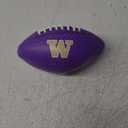 Washington Carbon Fiber Mini Glossy Football