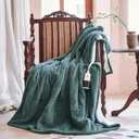 Texciting Heated Blanket Electric Blanket Throw 50''X60''-Heating Throw with 9 Heat Settings-2-10 Hours Auto Off,ETL Certified,Machine Washable (Green)