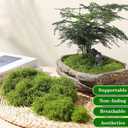 ZZBEARRQI 5.3 oz Fake Green Moss for Potted Plants, Faux Moss for Crafts, Artificial Green Moss for Plants Indoor, Moss Decor for Table Centerpieces, Art Landscape, Gardening, DIY Projects Dark Green