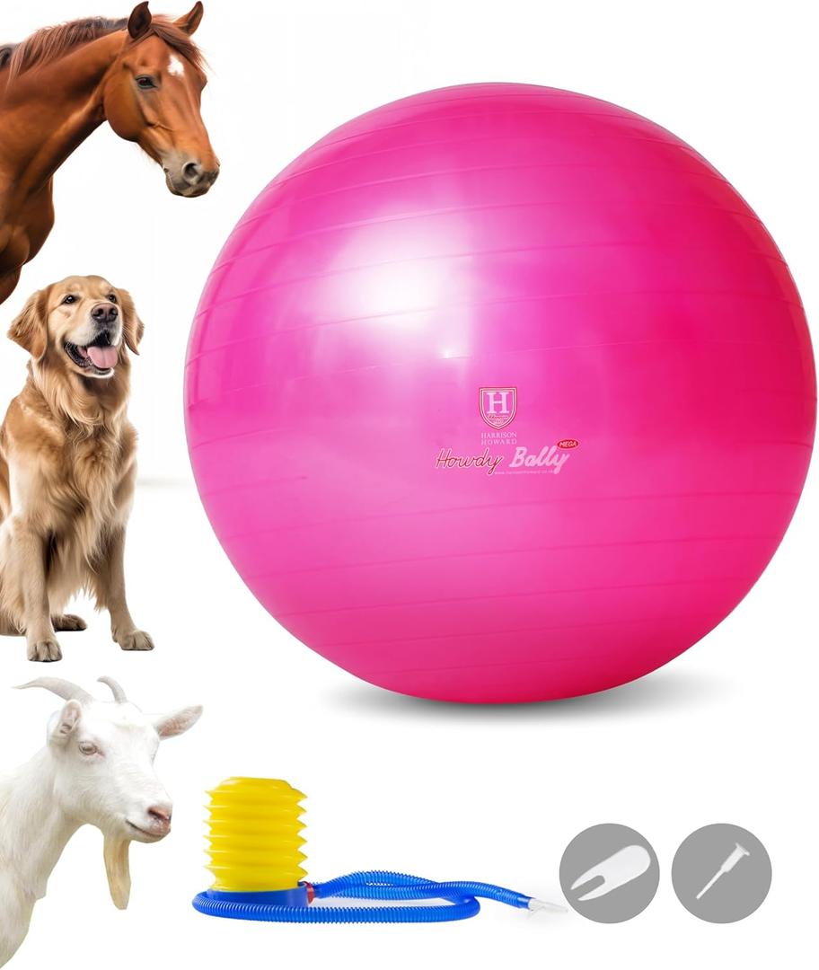 Harrison Howard Howdy Bally Mega Horse Play Ball Anti-Burst Giant Horse Ball 22 Inch-Magenta