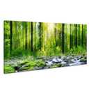 Tucai Decor Canvas Art Decor Morning Sunrise Green Trees Landscape Sunshine Over Forest Photograph Printed on Canvas for Home Wall Decoration Wall Art for living Room Print Artwork Natural Picture 24"x48"