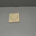 Capybara Christmas Ornament 2025 - Funny Animal Ornaments for Tree Decor, Unique Animal Lover Gifts, Capybara Ornament for Women Men, Funny Gifts for Friends Neighbors Boys and Girls