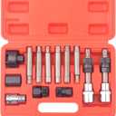 DAYUAN 13 Pc Alternator Freewheel Pulley Car Garage Tool Kit Hex Spline Star Bits