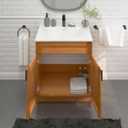 Bathroom Vanity Sink Base Ready-to-Assemble Bathroom Cabinet 30" Width (Vanity Base in Maple Shaker, 30 inch)