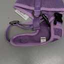 EcoBark Dog Harness - Eco-Friendly Max Comfort Harnesses - Luxurious Soft Mesh Halter - Over The Head Harness Vest- No Pull and No Choke for Puppy, Toy Breeds & Small Dogs (Small, Lavender)