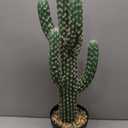 22” Artificial Cactus Plants Outdoor Tall Fake Cacti Plant Tropical Tree Indoor - Realistic Faux Floor Plant for Home Living Room Office Hotel Patio Balcony or Garden Desert Decor