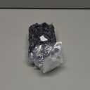 Pet Parents Washable Dog Diapers (3pack) + Extendrs of Durable Doggie Diapers, Premium Dog Diapers Female & Male (Small, Camo) (Small (9-15"))