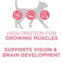 Purina ONE High Protein, Natural Dry Kitten Food, +Plus Healthy Kitten Formula - 7 lb. Bag (EXP 05/31/27)