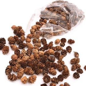 Floral Fantacy Spruce Pine Cones Vase Fillers, Table Scatter, Crafts 8-Ounce (Brown Pine Cones) (Natural)