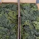 2Pcs Christmas Cedar Garland Artificial Real Touch Thickness Realistic Greenery Pine Garland for Mantle Fireplace Outdoor Indoor Christmas Decorations 6FT (6FT With Wire)