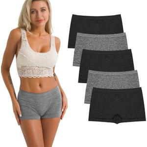 R RUXIA Women's Boyshort Panties Seamless Nylon Underwear Stretch Boxer Briefs 5 Pack (B004)