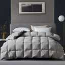 KRT Luxurious Goose Feathers Down Comforter - Grey Thickened Heavyweight Warmth Duvet Insert - 100% Cotton Cover with Corner Tabs (King Winter, 106''x90'')