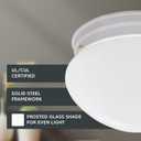 Designers Fountain 9 in 2-Light Flush Mount Ceiling Light with Frosted Glass Shade, White, 4732-WH (Pewter)