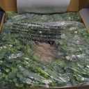 26" Artificial Eucalyptus Wreath with Baby's Breath for Front Door - Faux Eucalyptus Leaves, Fake Spring/Summer Greenery Flowers Wreath for Porch, Farmhouse, Wall, Window Outdoor Decor(White-Green)