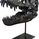 Dinosaur Skull Statue,Dinosaur Sculptures Bracket Tyrannosaurus Skull Replica Decoration Skull Bones Resin Replica with Bracket for Home Office Decor Shelf Display, Black