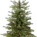 National Tree Company Pre-Lit 'Feel Real' Artificial Mini Christmas Tree, Green, Nordic Spruce, White Lights, Includes Burlap Bag Base, 3 Feet