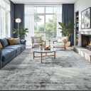 Toneed Abstract Area Rug 8x10 Modern Washable Rug Soft Non Slip Rug Low Pile for Bedroom Living Room Dining Room Grey