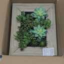 Fake Plants Succulents 3D Artificial Wall Hanging Plants Indoor Faux Succulent Arrangement in Wooden Planter for Home Farmhouse Kitchen Console Table Wall Decoration (Type#02)