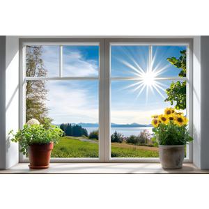 WOOHOOROO Peel and Stick Fake Window Flower Pots Sunshine Decoration Poster Picture Wall Sticker Decor Mural Wall Door Self-Adhesive Removable Decoration,24" x 36"