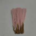 50pcs Pink Faux Pampas Grass Decor, 21.6" Short Artificial Pompous Grass Floral Fake Pompas Grass Branches Vase Filler Flower Arrangement for Home Wedding Boho Decor
