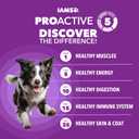 IAMS Advanced Health Dry Dog Food Healthy Digestion, Adult Dog Food with Real Chicken Recipe, 13.5 lb. Bag (EXP 10/31/26)