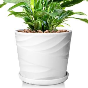 8 Inch Plant Pot,Ceramic Planter with Drainage and Saucer,Ceramic Pots for Plants,Indoor Plant pots,Ceramic Flower pots (Pure White)