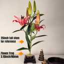 80mm Flower Frog Large Floral Frog Flower Arrangements Supplies Japanese Ikebana Kenzan with Rubber Base (3.15inch)
