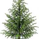 ENVEN 3FT Artificial Norfolk Pine Christmas Tree Real Touch Faux Tree with Black Pot, Realistic Indoor Holiday Decor for Christmas Entryway, Living Room & Office