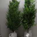 Norfolk Pine Christmas Tree Real Touch Faux Holiday Tree with Pot, Realistic Indoor Outdoor Decoration for Entryway, Living Room, Office, Apartment (5FT- 2Pack)