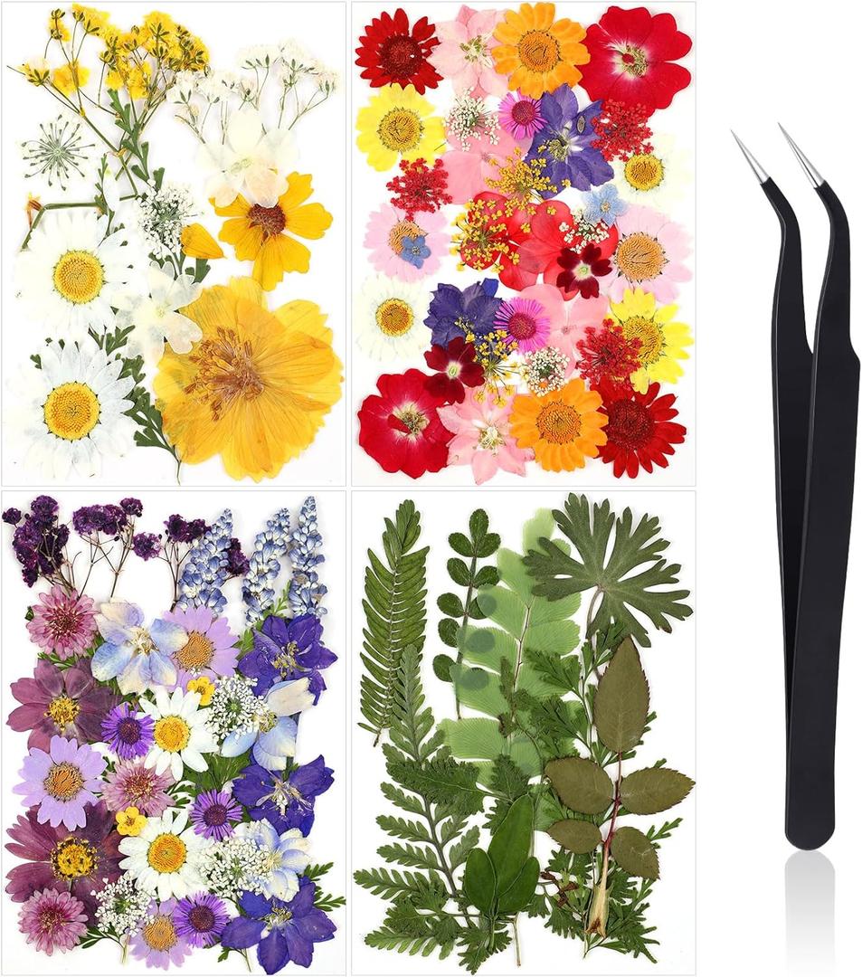 Nuanchu Pressed Flowers Bulk Dried Flower for Crafts Dried Wildflowers Leave Natural with Tweezer for Resin Mold Candles Cake DIY Christmas Craft Card Making Wedding Scrapbooking Supplies (Bright Colors)
