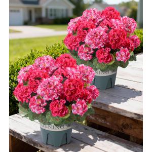 Geraniums Artificial Flowers for Outdoors, 2 Pack Potted Plants Faux Geraniums Bush Artificial Topiaries Realistic UV Resistant Fake Flowers Greenery for Outside Gardens Porch Patio Yard Indoor, Mix
