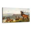 SERIMINO Landscape Large Wall Art Vintage Decor, Grassland Animal Wall Decor, Canvas Prints Paintings, Nature Aesthetic Pictures Home Decor Living Room Bedroom Office 20x40 Inch