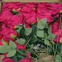 Serwalin 20pcs Artificial Roses, 4'' Big Flower Head, Hot Pink Roses Velvet Real Touch, Silk Fake Roses Long Stem Realistic Bouquet for Wedding Table Centerpiece and Home Decor