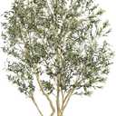 Realead Artificial Olive Tree 9ft - Large Faux Olive Tree with Realistic Leaves and Olives - Full and Grand Design Fake Olive Tree with Sturdy Base for Indoor Outdoor Office Decor