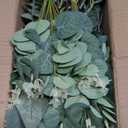 lovemoon 130 Pcs Artificial Mixed Eucalyptus Stems Bulk, 5 Kinds of Faux Greenery Eucalyptus Leaves Bulk for Vase Wedding DIY Bouquets Floral Arrangement Home Decor (130, Green)