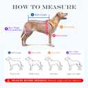 Dog Lift Harness, Full Body Support with Adjustable Control Handle for Small Senior Dogs, Post-Surgery Recovery & Joint Problems (Oxford Cloth, S)