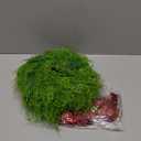 XunYee 4 Pack Small Christmas Wreath for Cabinet Home Kitchen Whimsical Decor with Velvet Bow 11" Persian Grass Lime Green Green Fern Mini Wreaths for Xmas Home Candle Window Chair Fence Decor