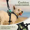 rabbitgoo Dog Harness No Pull with 2 Leash Clips, Adjustable Soft Padded, Reflective Oxford No Choke Pet Vest with Easy Control Handle for Large Dogs, Green Mountain,XS
