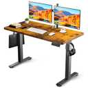 Height Adjustable Electric Standing Desk, 48 x 24 Inches Sit Stand up Desk, Memory Computer Home Office Gaming Desk with 3 Preset Heights, cable management box,2 Hooks & 5 Velcro Cable Tie, Brown