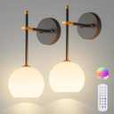 Black and Gold Battery Operated Wall Sconces Set of 2, Wireless Rechargeable Wall Light Fixtures for Home Decor, 12 RGB and 3CCT Dimmable Wall Lamps with Remote for Bedroom Living Room Hallway