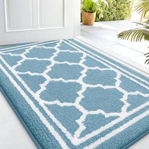 Buganda Indoor Door Mat, Dirt-Resistant and Absorbent Doormat, Anti-Slip, Low Profile Floor Mats for Inside Entryway, Front, and Back Door Entrance (32x20 Inches, Lake Blue)